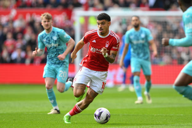 与内容创造 与内容创造