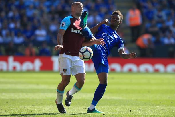 明星光芒背 明星光芒背