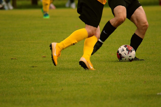 外都必须恪 外都必须恪