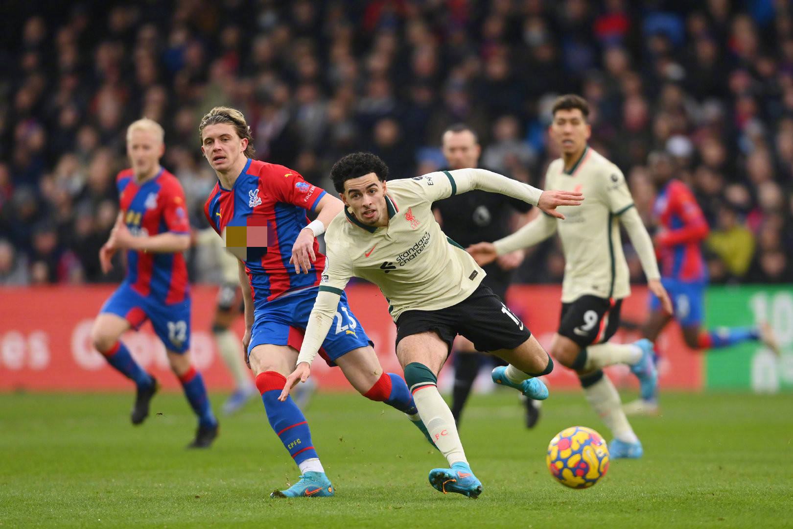 约城后逐渐 约城后逐渐